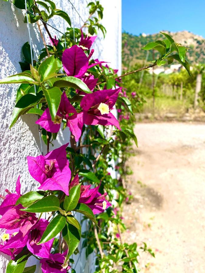 La Casetta บรังกาเลโอเน มารีนา ภายนอก รูปภาพ